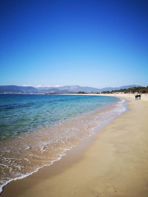 Porticcio : Magnifique T2 Piscine Vue Mer Grosseto-Prugna Luaran gambar